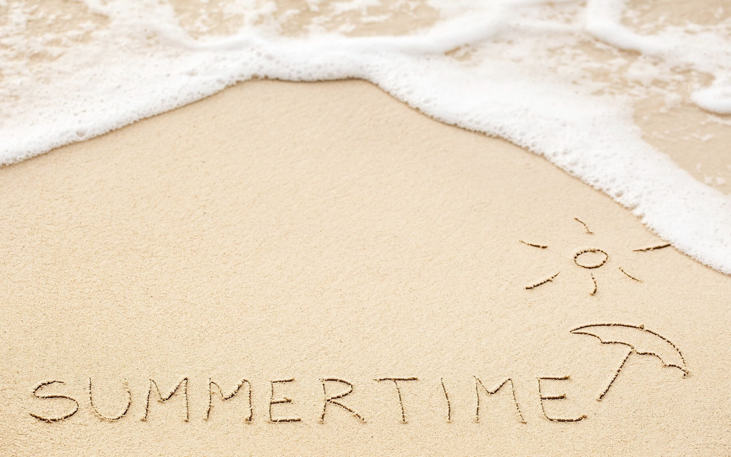 上海队连续三场连胜,士气高涨冲击冠军,上海队夺冠阵容