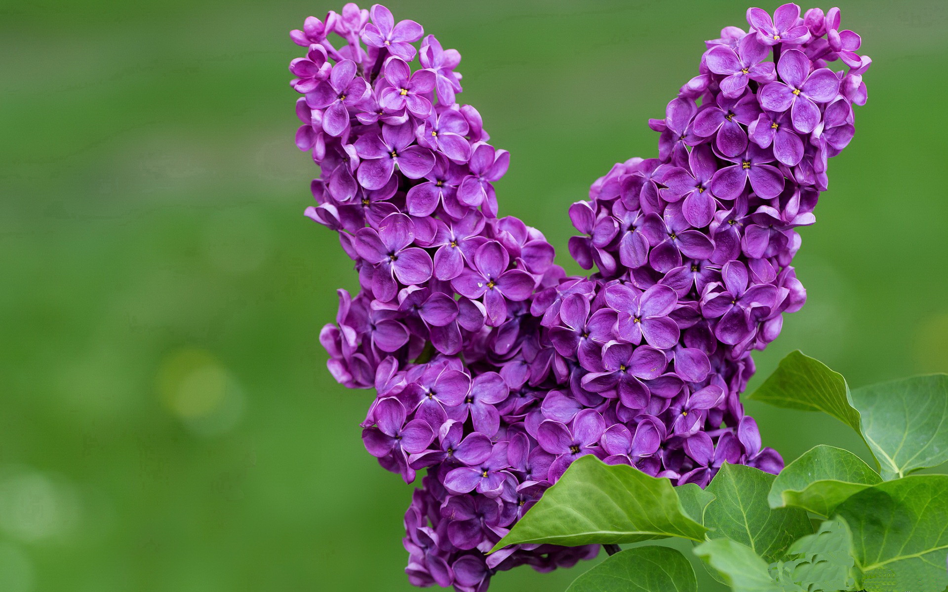 以科技助力中国篮球发展，探索智慧体育新时代，以科技助力中国篮球发展,探索智慧体育新时代