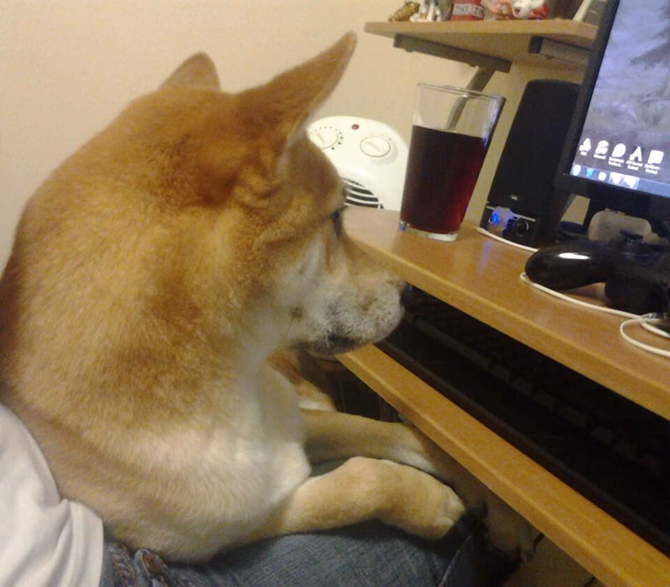 以科技助推青训,智能篮球装备走入校园,智能篮球app