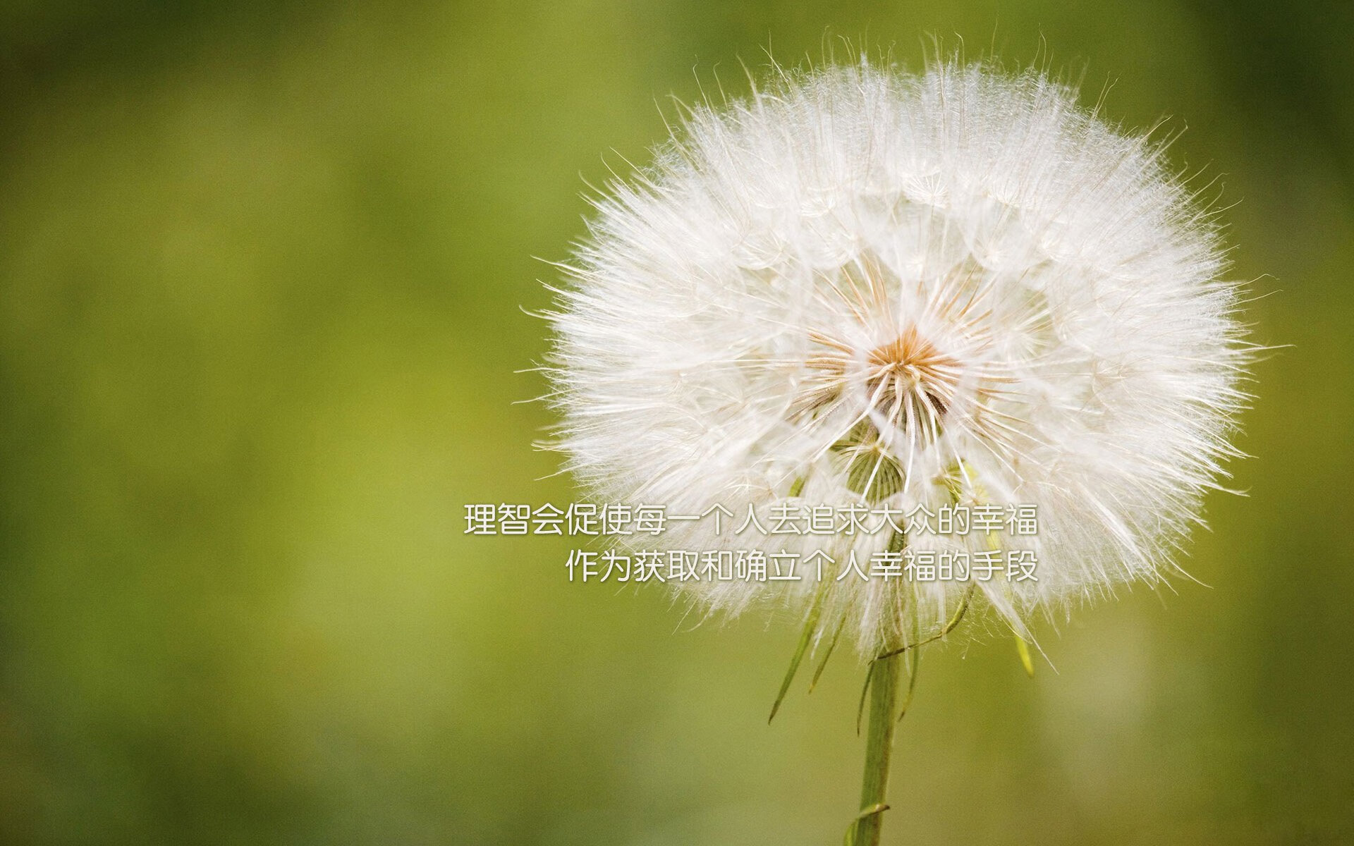 巴西举办篮球文化节,巴西篮协