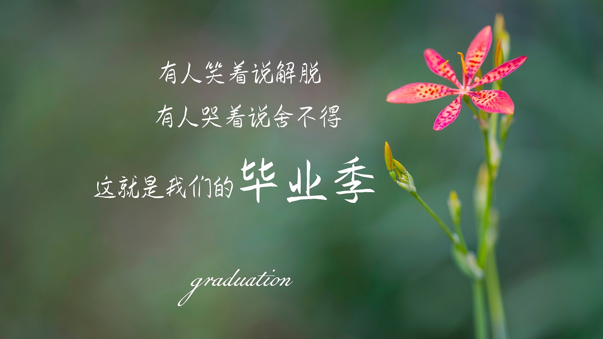 b体育在线平台-篮球比赛数据分析助教练决策优化，篮球比赛数据统计表格