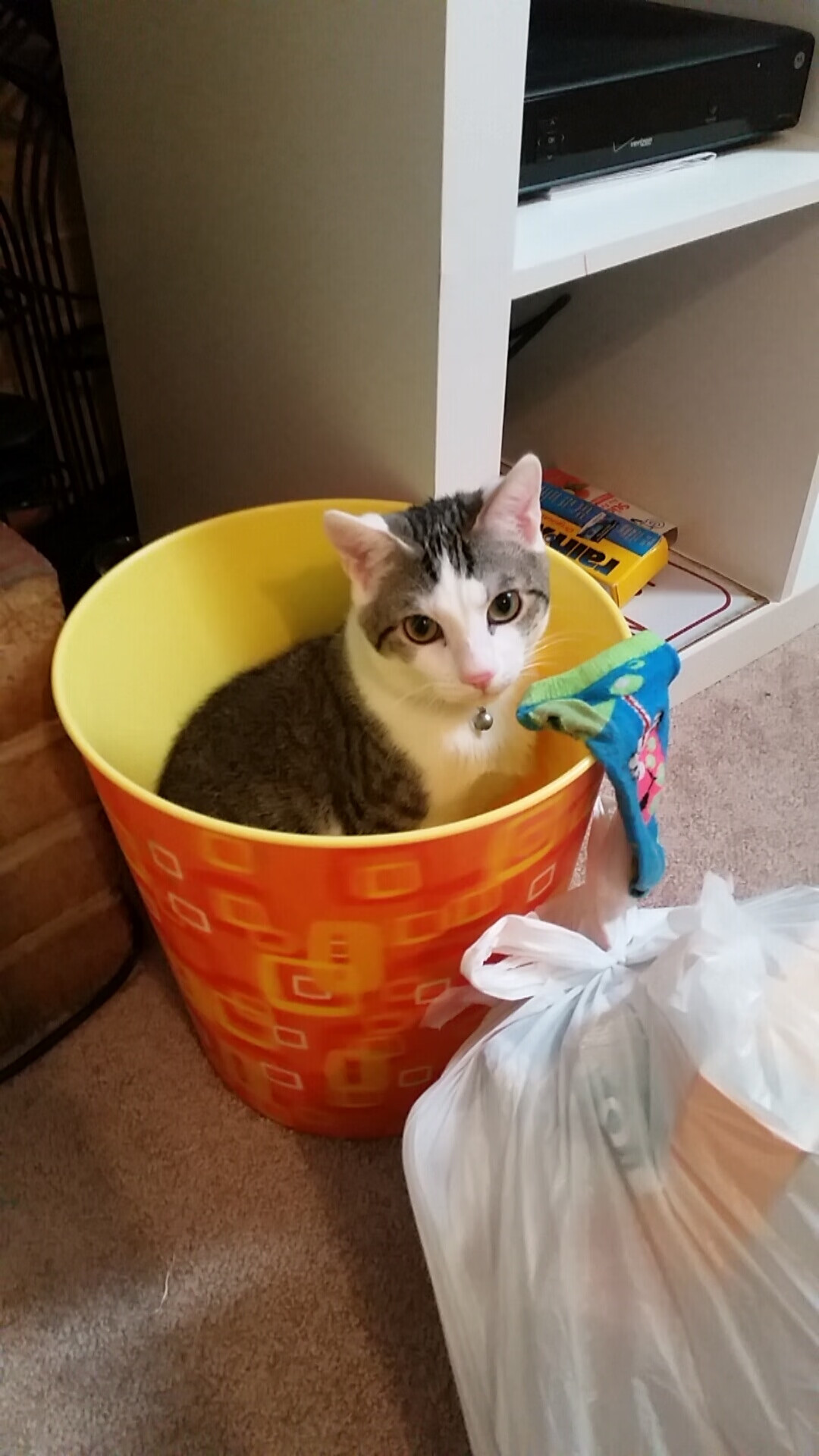 篮球盛宴:精彩瞬间集锦让你欲罢不能,篮球精彩视频集锦