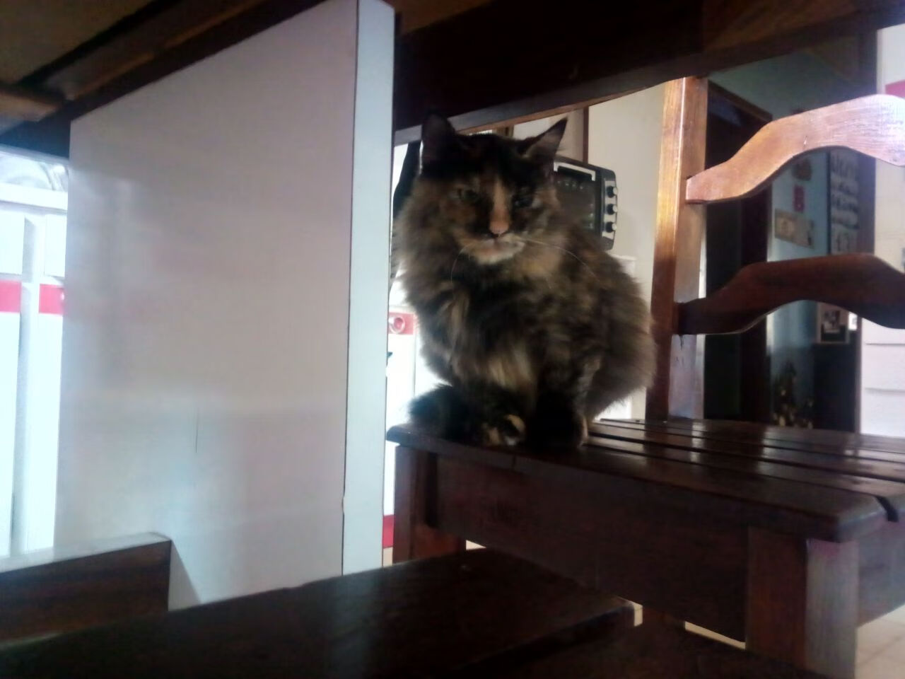 青少年足球“智慧培养”模式在全国推广,科技助力成效显著,青少年足球信息管理系统