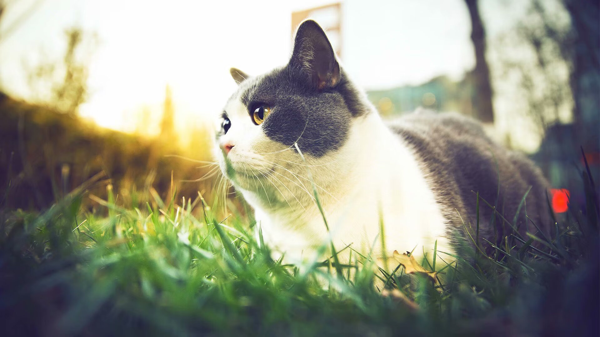 青少年足球“智造+创新”战略,从行业到全民运动全面铺开,青少年足球发展趋势