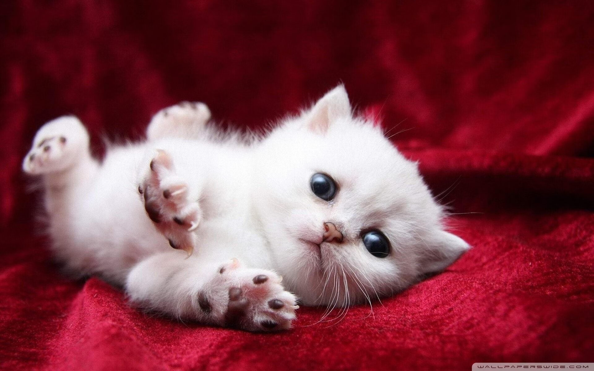 中国男足小组赛全胜，强势晋级淘汰赛，中国男足小组出线