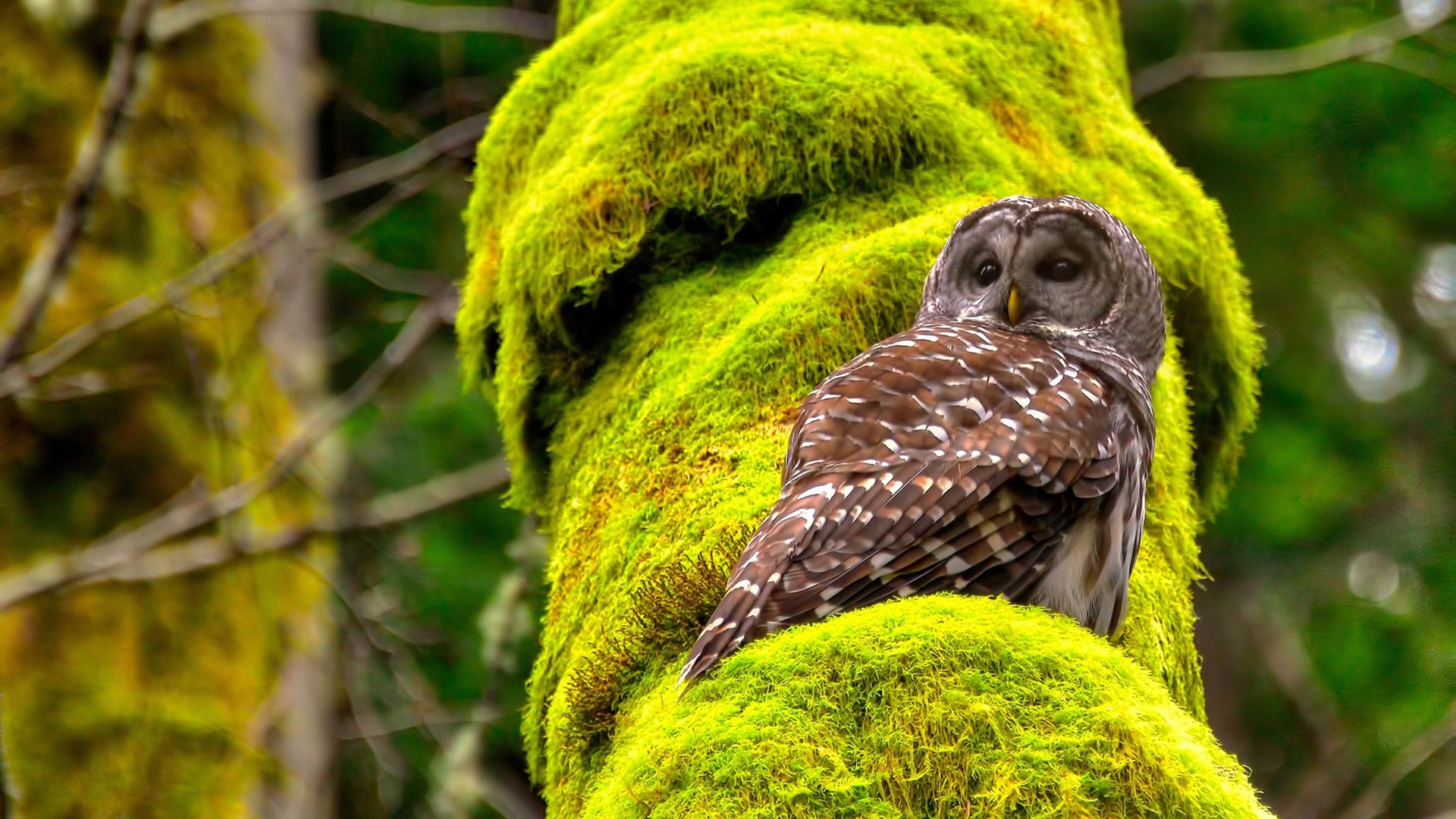 中国男足热身赛战平伊拉克,前锋线表现欠佳,中国男足 伊拉克