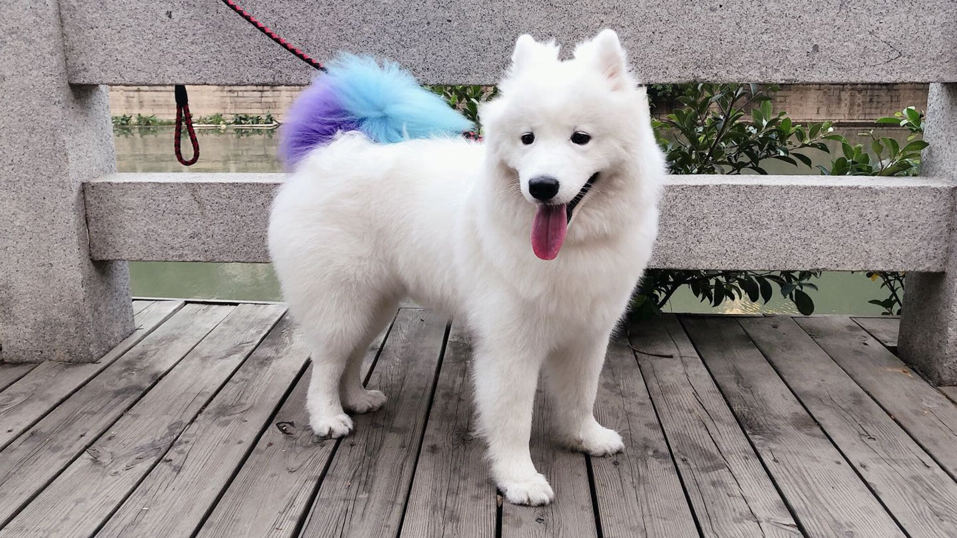 球员斗志昂扬,女足比赛赛场激情万丈,足球赛女足