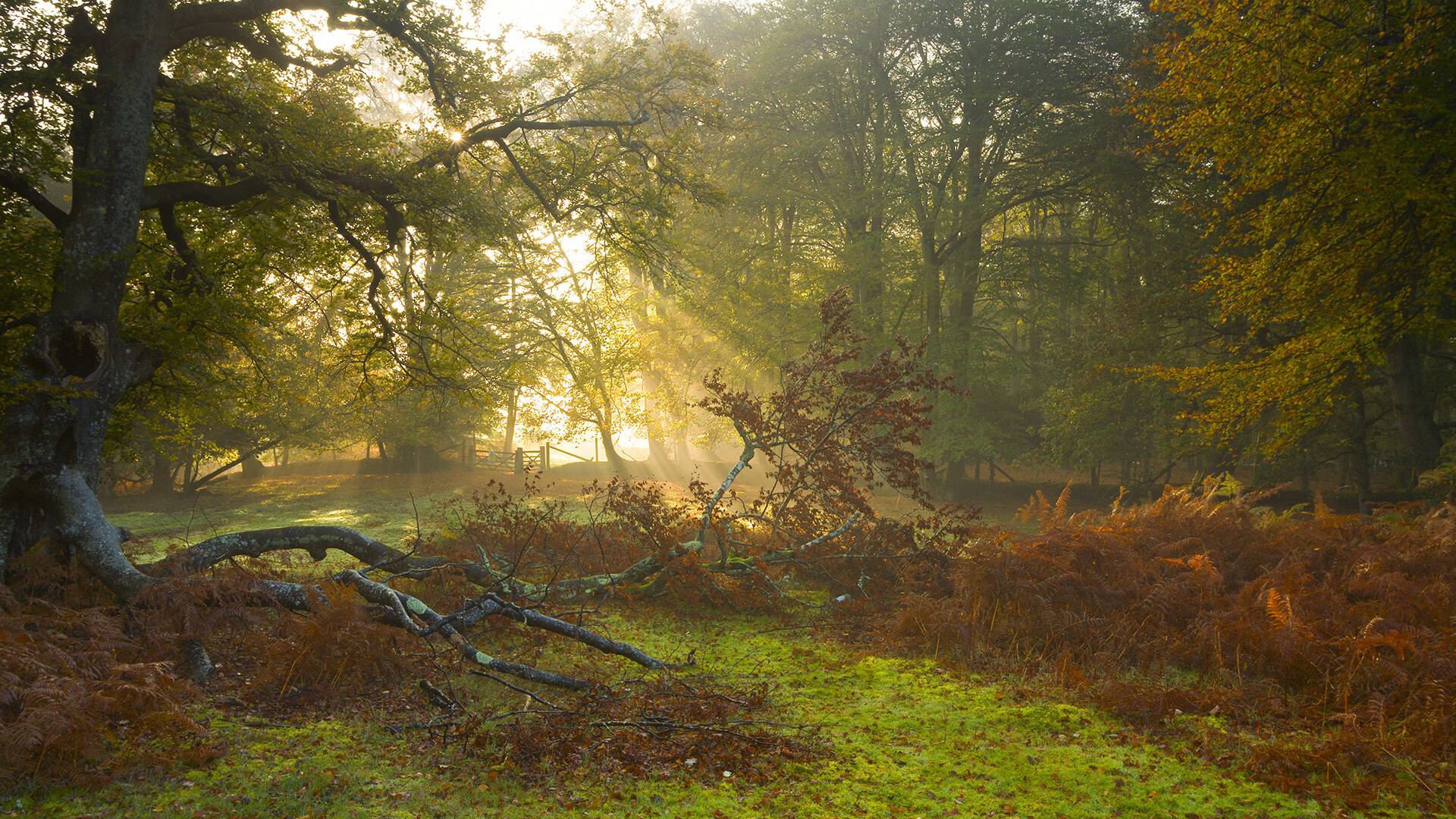 球员是否应代表联盟参与环保峰会发言，球员能拒绝国家队征召吗