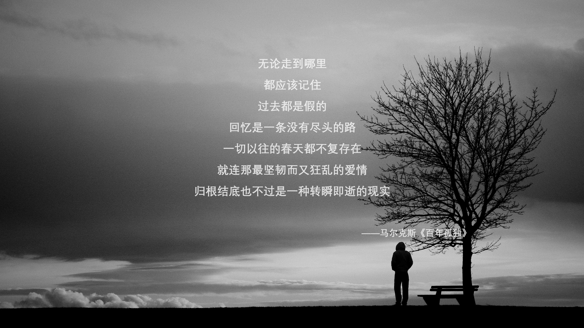 纽卡斯尔联进攻持续高效,喜鹊军团冲刺前四,纽卡斯尔联队