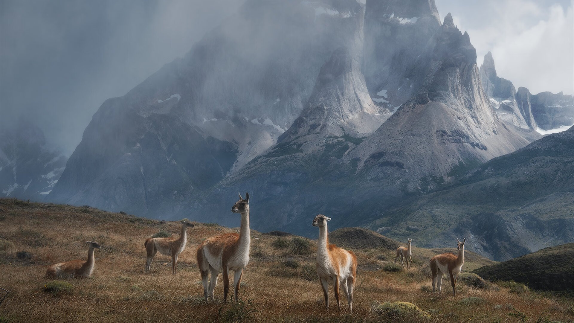 Bsports在线平台-高校体育专业发展趋势预测与对策，高校体育发展现状